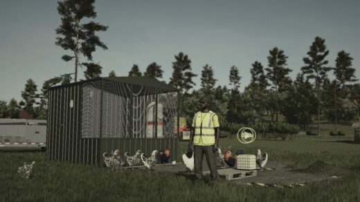 Chicken Coop Small V1.02
