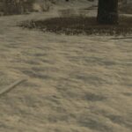 Concrete Curbs