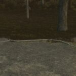 Concrete Curbs5