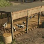 Cow Shed