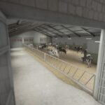 Cow Shed 28x173
