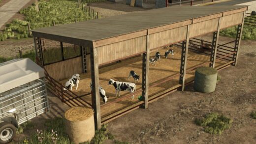 Cow Shed