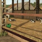 Cow Shed4