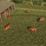 Cow Shed5