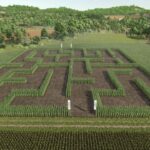 Crop Maze
