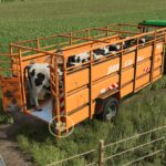 Dangreville B10 23