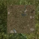 Dark Forest The Final Chapter v1.0