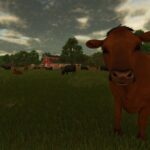 Excess Animals Sold