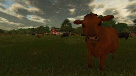 Excess Animals Sold