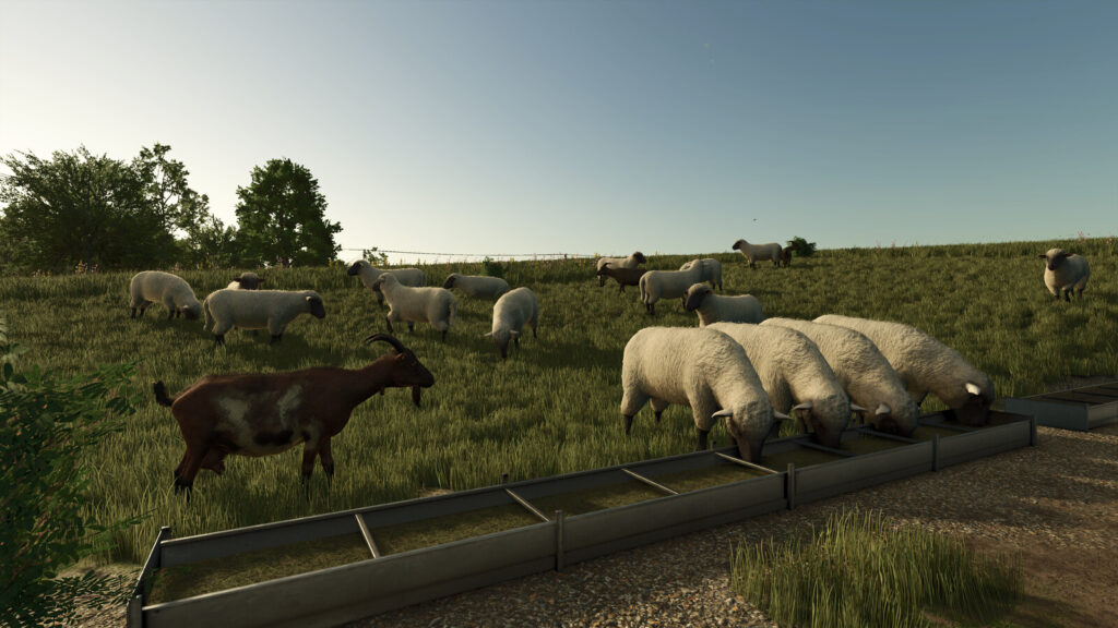 Fenceless Pastures