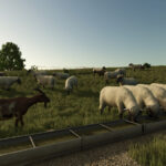 Fenceless Pastures
