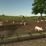Fenceless Pastures2