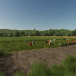 Fenceless Pastures5
