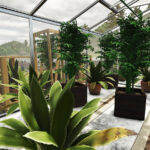 Greenhouse And Nursery2