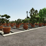 Greenhouse And Nursery3