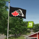 Holstein Canada Flag