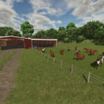 Horse Barn With Storage4
