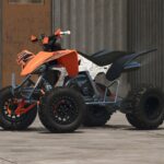 Lizard AGT 45045