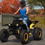 Lizard Banshee 3505