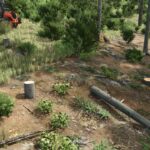 Lizard Forestry T20 Winch4