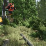 Lizard Forestry T20 Winch5