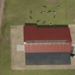 Medium Cowshed With Feeding Robot2