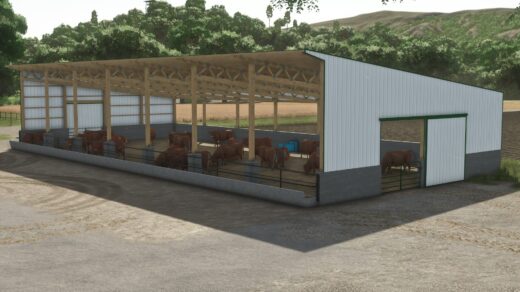 Monoslope Cattle Barn4