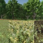 MultiFruits Pack (Prefab)