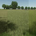 MultiFruits Pack (Prefab)