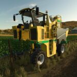 OXBO 6030