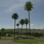 Placeable palm tree v1.0
