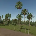 Placeable palm tree v1.02