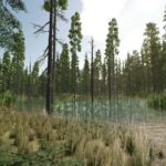 Riverbend Springs Forest3