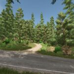 Riverbend Springs Forest4