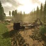 Riverbend Springs Forest5