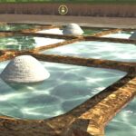 Salt Production6