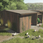 Shed With A Chicken Coop2