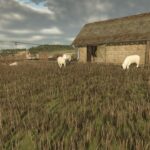 Sheep Small Barn3