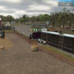 Silverstar CM