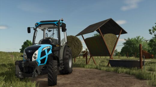 Small Old Cow Pasture