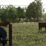 Small Old Cow Pasture3