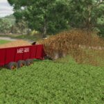 Vaschieri L Pack2