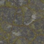 Alpine Map textures6