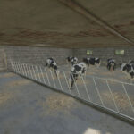 Barn With Cowshed6