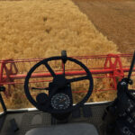 CLAAS MEGA 208/218