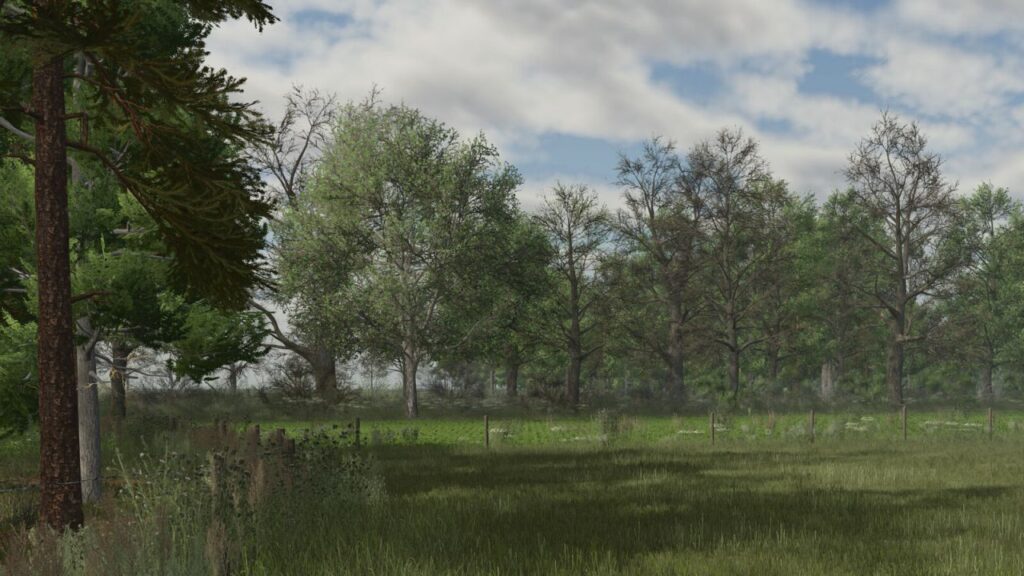 DecoFoliage Pack (Prefab) V1.0