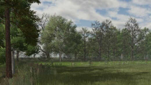 DecoFoliage Pack (Prefab) V1.0