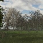 DecoFoliage Pack (Prefab) V1.0