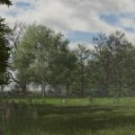 DecoFoliage Pack (Prefab) V1.0