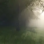 Fog Control v1.0